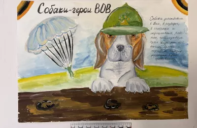 Собаки-герои ВОВ
