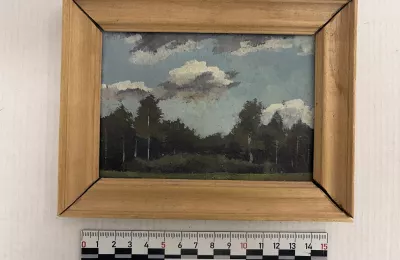 Пейзаж с лесом и облачным небом