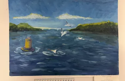 Чайки