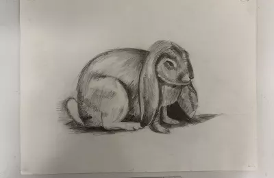 Рисунок кролика