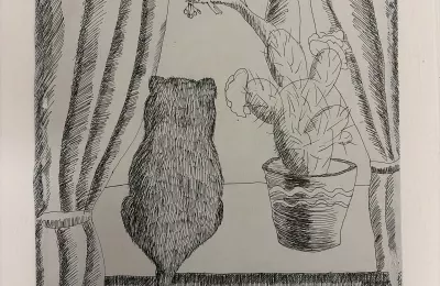 Кот на подоконнике